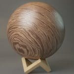 Procedural Wood